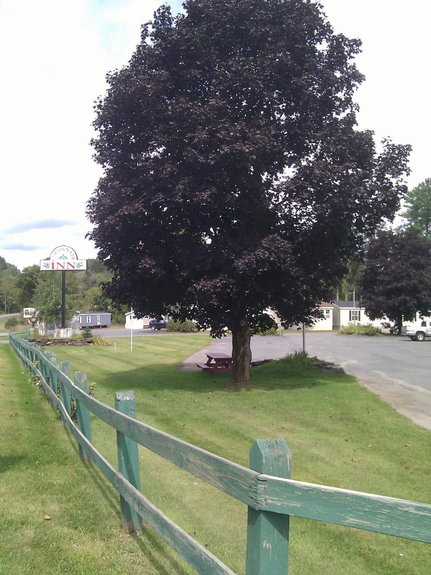 Colonnade Inn Lyndonville Εξωτερικό φωτογραφία